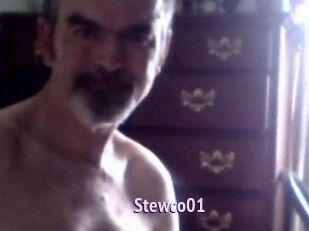 Stewco01