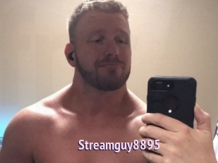 Streamguy8895