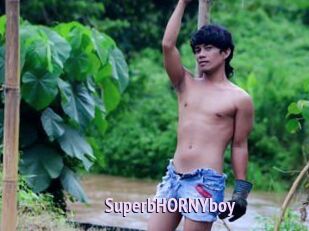 SuperbHORNYboy