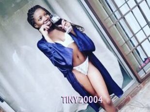 TINY20004