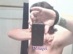TSFidget