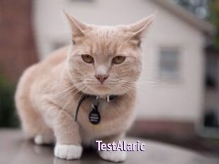 TestAlaric