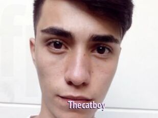 Thecatboy