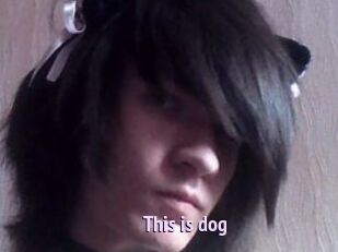 This_is_dog