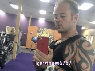 Tigerstripes6767