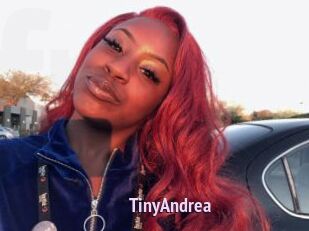 TinyAndrea