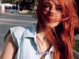 TinyFox