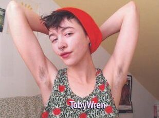 TobyWren