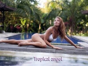 Tropical_angel