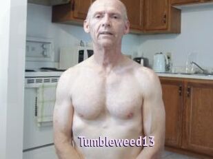 Tumbleweed13