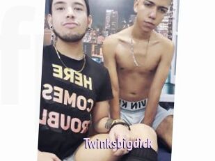 Twinksbigdick