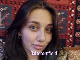 Taitecornfield