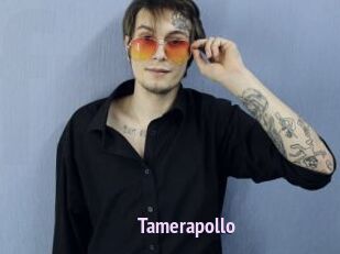 Tamerapollo