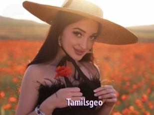 Tamilsgeo