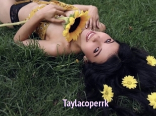 Taylacoperrk
