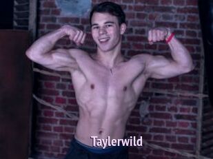 Taylerwild