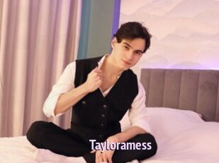 Tayloramess