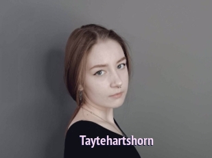 Taytehartshorn