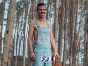 Teddhill