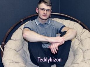 Teddybizon