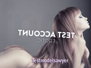 Testmodelsawyer