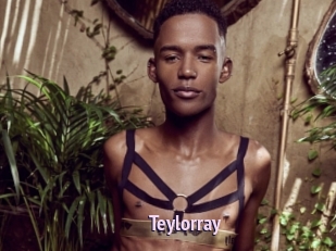 teylorray Film Porno