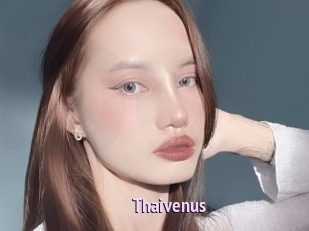 Thaivenus