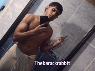 Thebarackrabbit