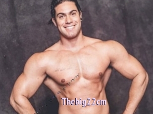 Thebig22cm