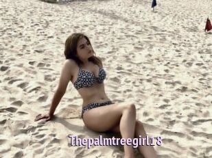 Thepalmtreegirl18