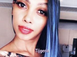 Tijgerin