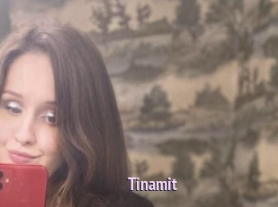 Tinamit