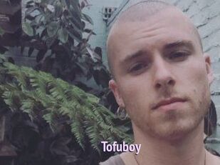 Tofu_boy