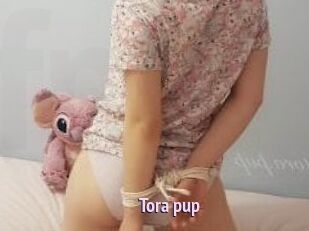 Tora_pup