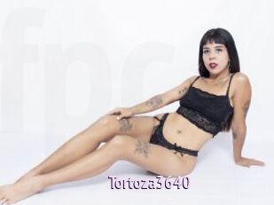 Tortoza3640