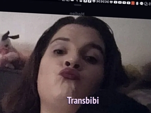 Transbibi