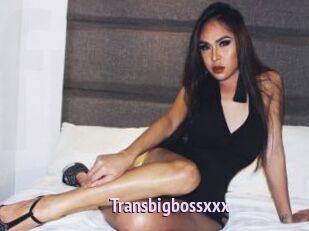 Transbigbossxxx