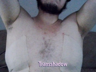 Transshadow