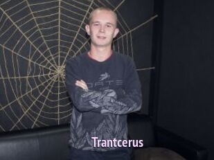 Trantcerus