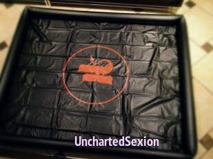 UnchartedSexion