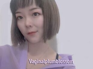Vaginalplumblossom
