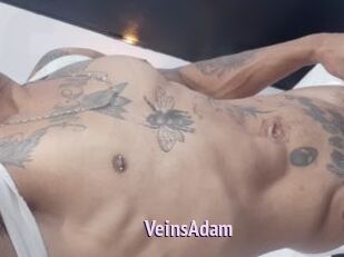 VeinsAdam