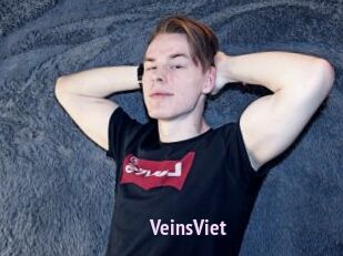VeinsViet