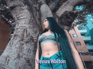 Venus_Walton