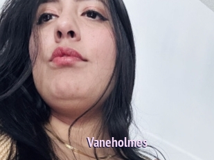 Vaneholmes