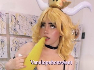 Vanelopebonsweet