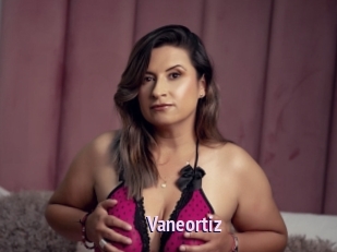 Vaneortiz