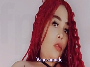 Vanesamude