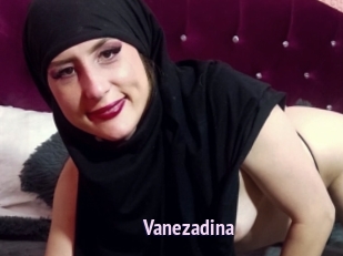 Vanezadina