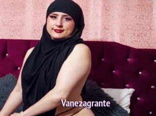 Vanezagrante